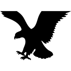 AEO image
