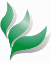 GNC.L image