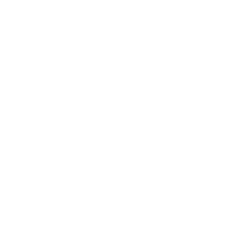 LMT image