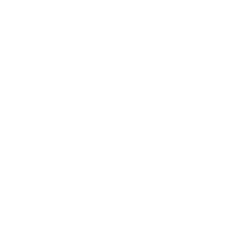 ROKU image