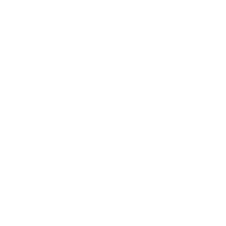 V image