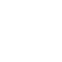 WYNN image