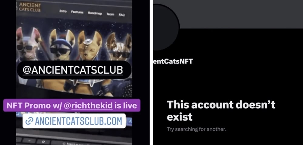 Ancient Cats Club
