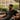 SavvyGuru avatar